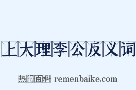 上大理李公反义词是什么意思的图片